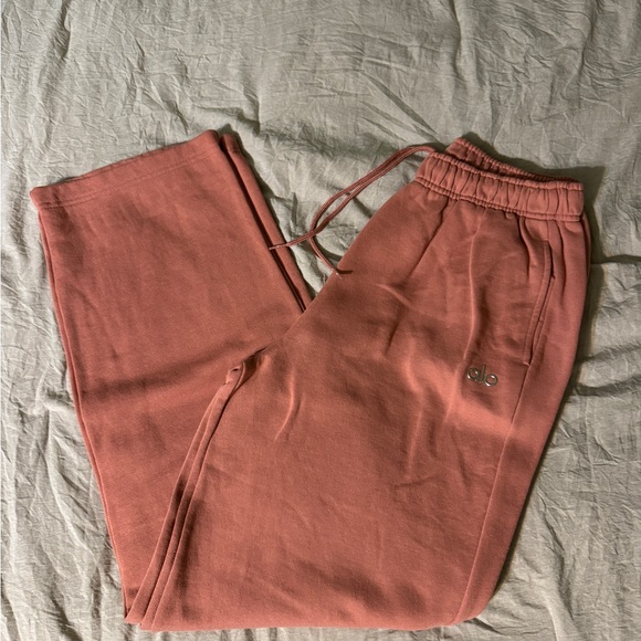 Alo Accolade Terra Cotta Sweat Set - Picture 4 of 5